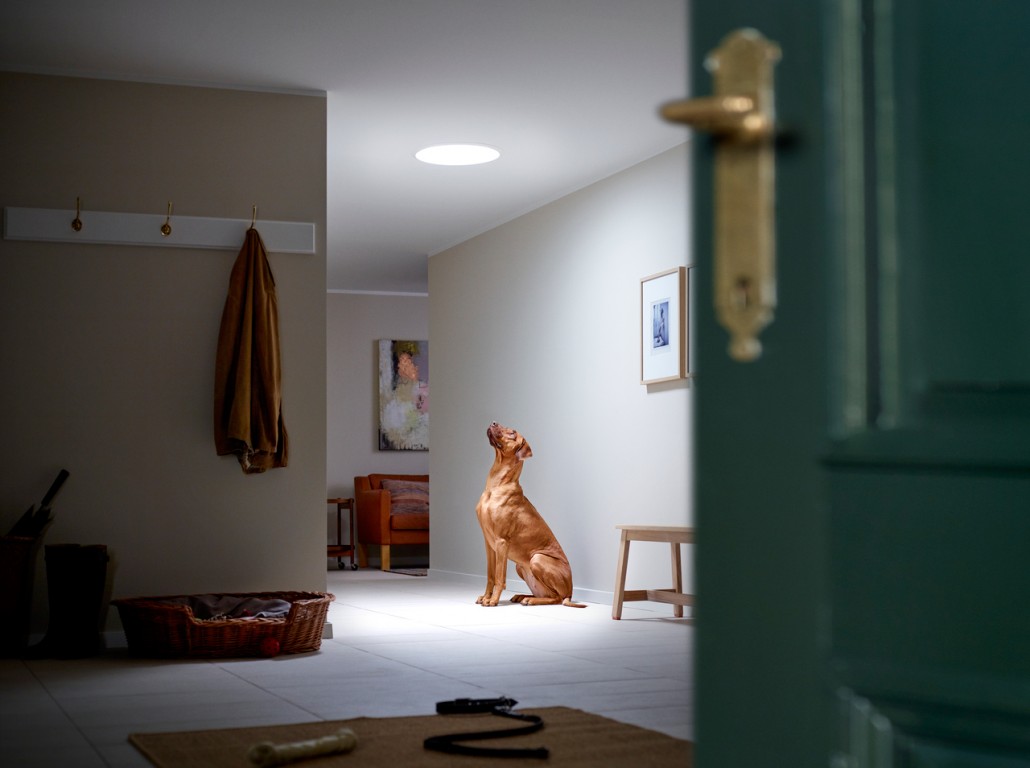 papafingoja-ime-tuneli-ndriçues-velux–atje-ku-nuk-mund-të-ndërtojmë-asnjë-dritare-4-2