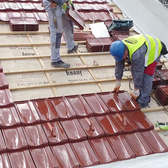 papafingoja-ime-video-pse-leshi-nuk-mund-te-funksionoje-pa-fletet-lds-002-2